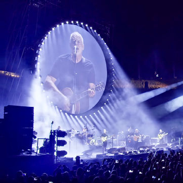 59B9611E-david-gilmour-